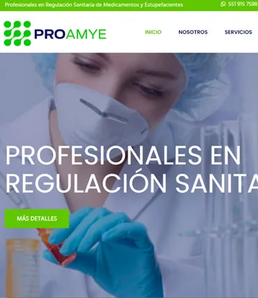 Proyecto de diseño web para proamye.com.mx