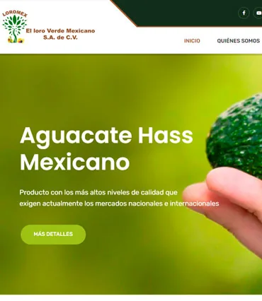 Proyecto de diseño web para loromex.com