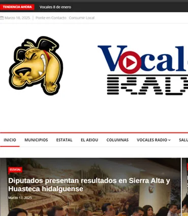 Proyecto de diseño web para vocalesonline.com.mx