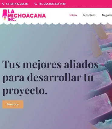 Proyecto de diseño web para lamichoacanainc.com