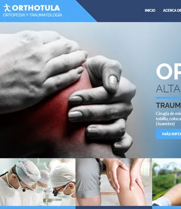 Proyecto de diseño web para orthotula.com.mx