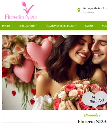 Proyecto de diseño web para fniza.com.mx