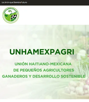 Proyecto de diseño web para unhamexpagri.org.mx